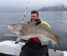 20+ kg fish 2019great 28kg cod