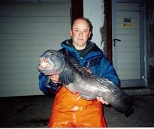 6kg-catfish